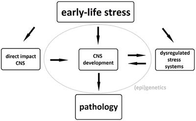 Structural and Functional Brain Abnormalities Associated With Exposure to Different Childhood Trauma Subtypes: A Systematic Review of Neuroimaging Findings